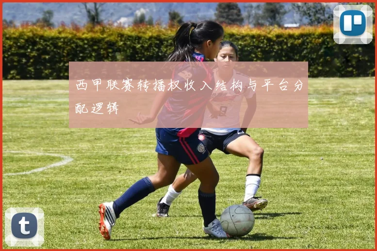 西甲联赛转播权收入结构与平台分配逻辑