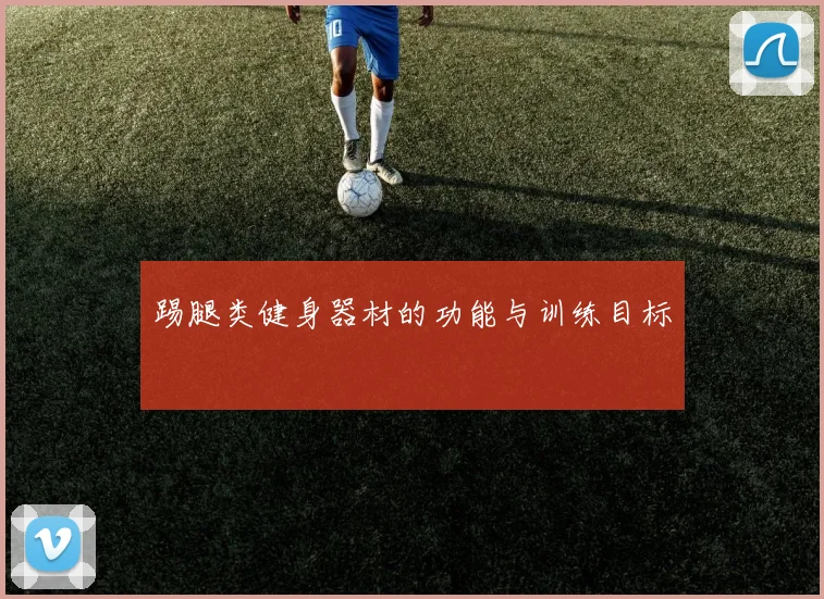 踢腿类健身器材的功能与训练目标