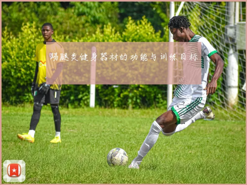 踢腿类健身器材的功能与训练目标