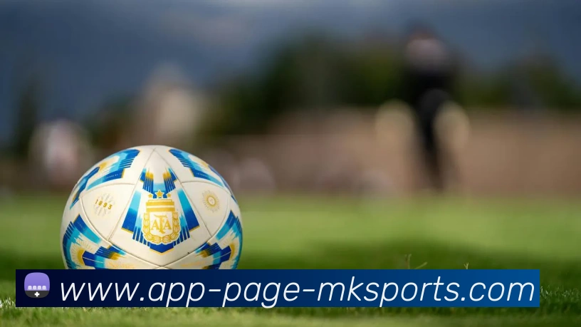 MK体育APPAPP 体育赛事宣传图